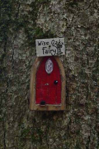Red Door on a tree trunk