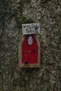 Red Door on a tree trunk